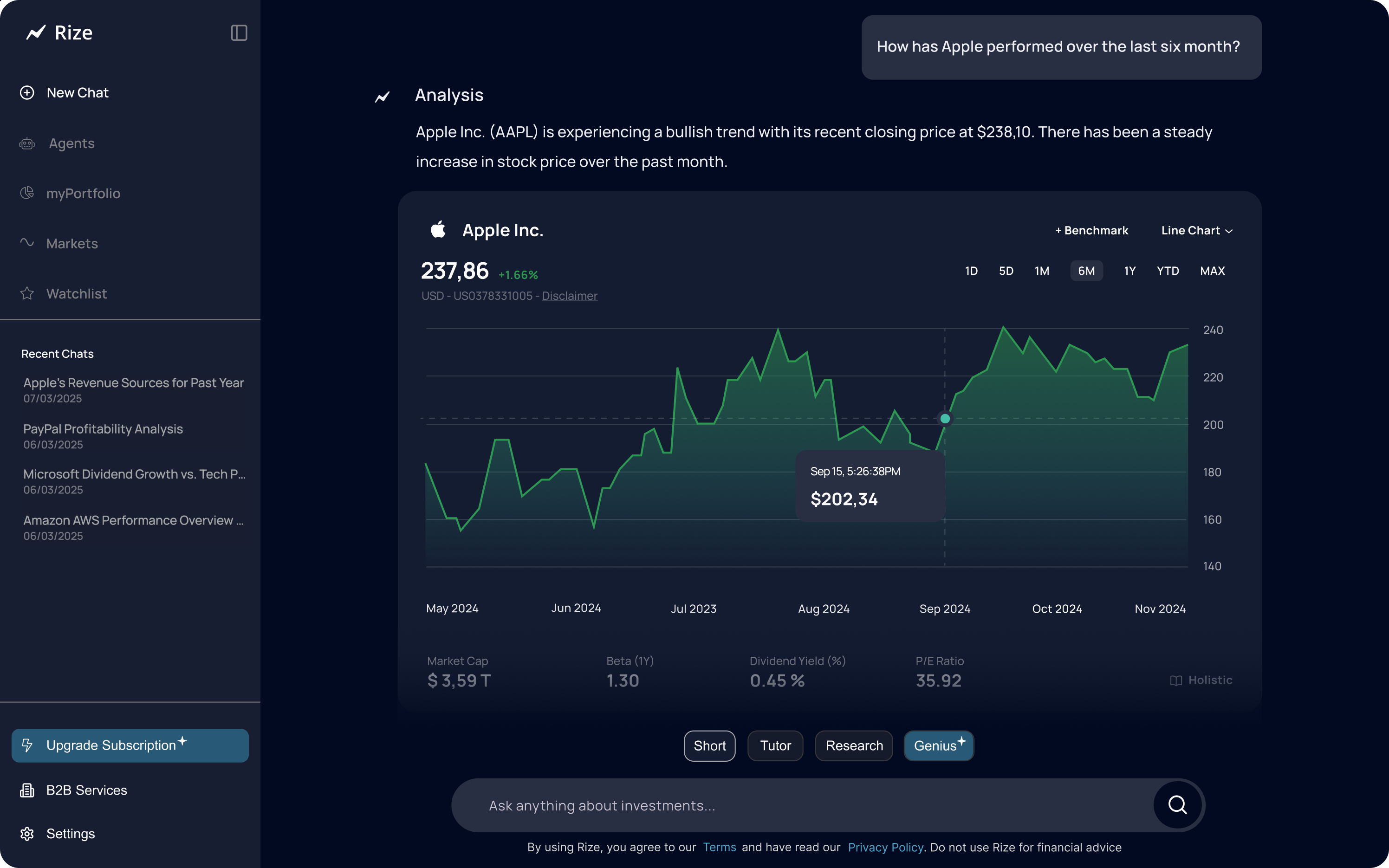 Rize Capital Investment Chatbot AI Finance